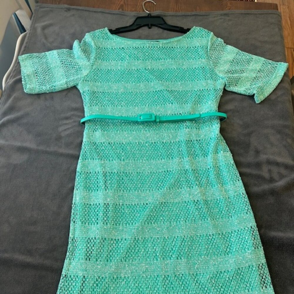 Women's Light Green Belted Sharagano Dress, Size 14